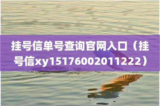 挂号信单号查询官网入口（挂号信xy15176002011222）