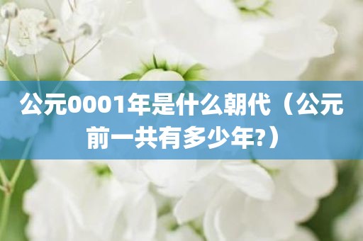 公元0001年是什么朝代(公元前一共有多少年?) 公元0001年是什么朝代(公元前一共有多少年?)