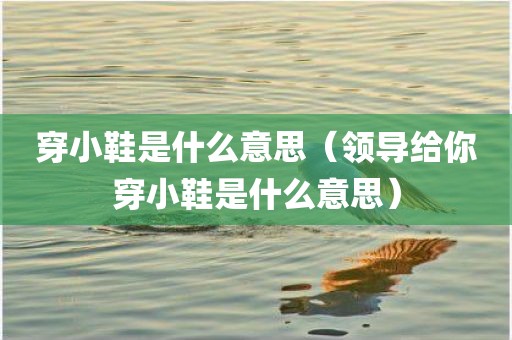 穿小鞋是什么意思（领导给你穿小鞋是什么意思）
