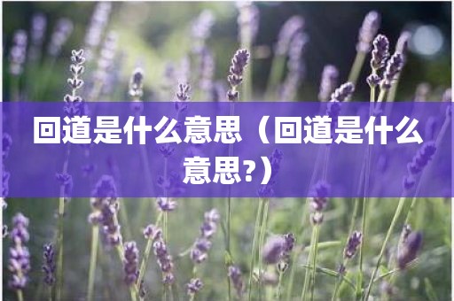 回道是什么意思（回道是什么意思?）