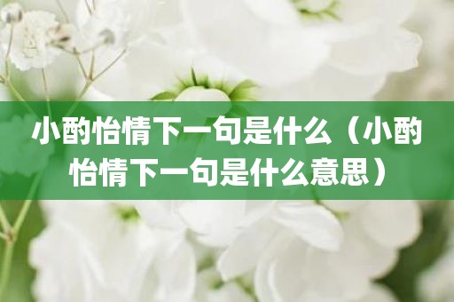 小酌怡情下一句是什么（小酌怡情下一句是什么意思）