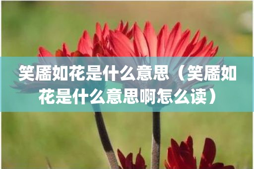 笑靥如花是什么意思（笑靥如花是什么意思啊怎么读）