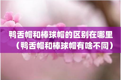 鸭舌帽和棒球帽的区别在哪里（鸭舌帽和棒球帽有啥不同）