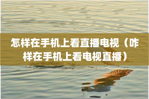 怎样在手机上看直播电视（咋样在手机上看电视直播）