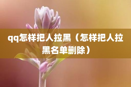 qq怎样把人拉黑（怎样把人拉黑名单删除）