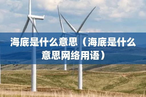 海底是什么意思（海底是什么意思网络用语）
