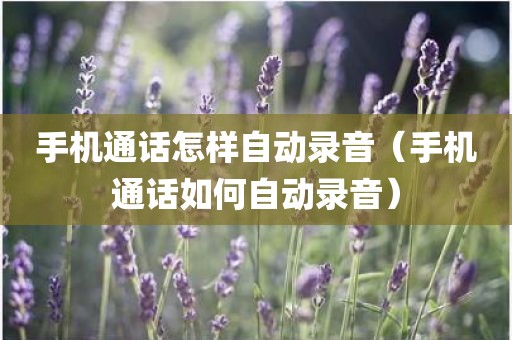 手机通话怎样自动录音（手机通话如何自动录音）