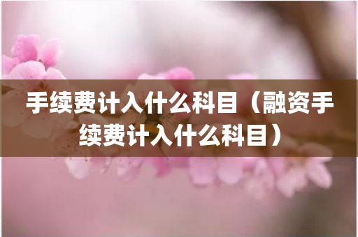 手续费计入什么科目（融资手续费计入什么科目）