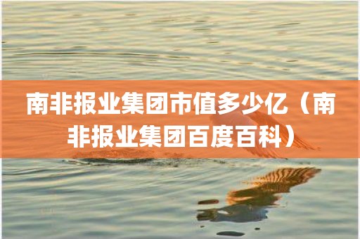 南非报业集团市值多少亿（南非报业集团百度百科）