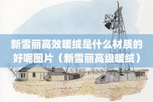 新雪丽高效暖绒是什么材质的好呢图片（新雪丽高级暖绒）