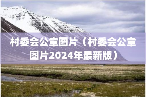村委会公章图片（村委会公章图片2024年最新版）