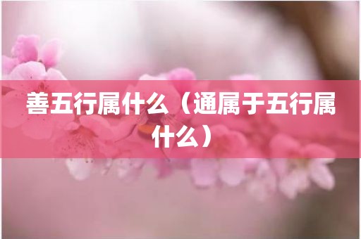 善五行属什么（通属于五行属什么）