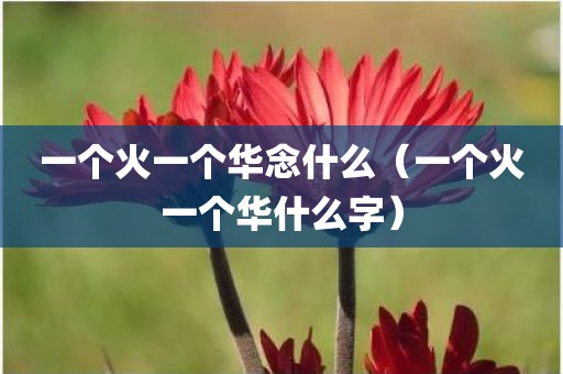 一个火一个华念什么（一个火一个华什么字）