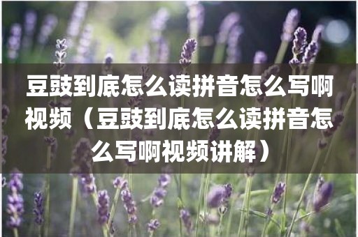 豆豉到底怎么读拼音怎么写啊视频(豆豉到底怎么读拼音怎么写啊视频讲解) 豆豉到底怎么读拼音怎么写啊视频(豆豉到底怎么读拼音怎么写啊视频讲解)