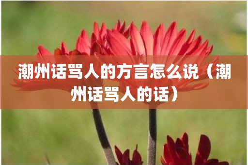 潮州话骂人的方言怎么说（潮州话骂人的话）