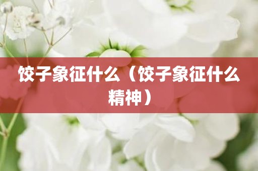饺子象征什么（饺子象征什么精神）