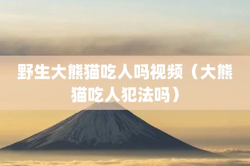 野生大熊猫吃人吗视频（大熊猫吃人犯法吗）