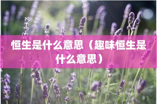 恒生是什么意思（趣味恒生是什么意思）