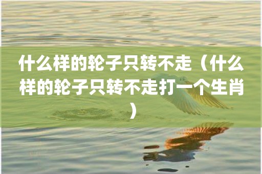 什么样的轮子只转不走(什么样的轮子只转不走打一个生肖)