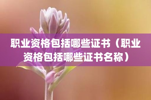 职业资格包括哪些证书（职业资格包括哪些证书名称）