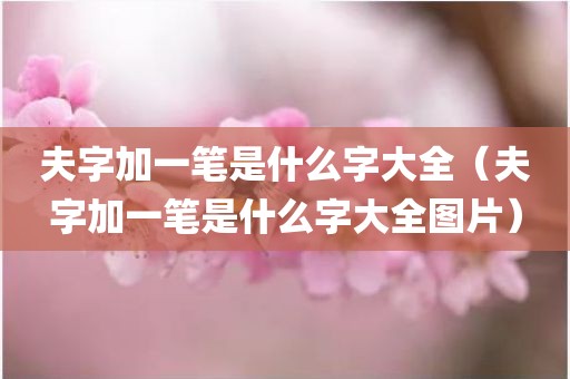 夫字加一笔是什么字大全（夫字加一笔是什么字大全图片）