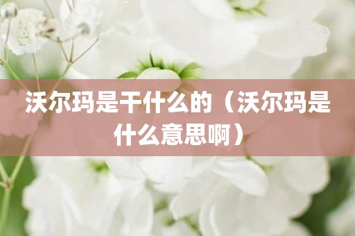 沃尔玛是干什么的（沃尔玛是什么意思啊）