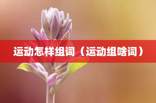 运动怎样组词（运动组啥词）