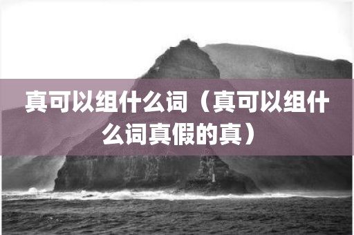 真可以组什么词（真可以组什么词真假的真）