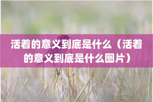 活着的意义到底是什么（活着的意义到底是什么图片）