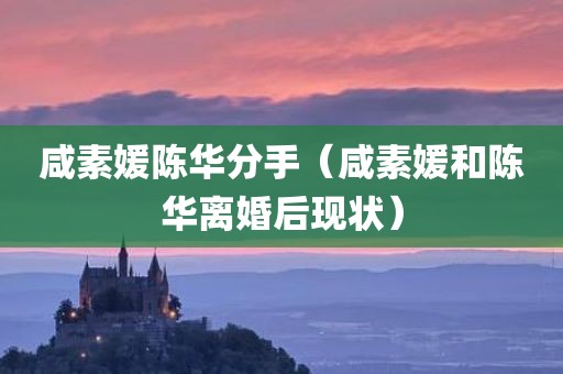 咸素媛陈华分手（咸素媛和陈华离婚后现状）