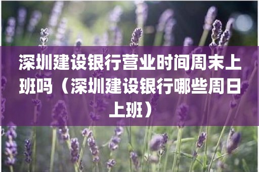 深圳建设银行营业时间周末上班吗（深圳建设银行哪些周日上班）