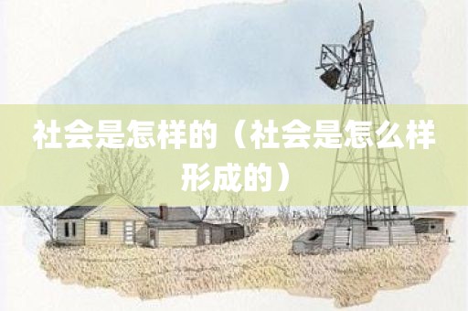 社会是怎样的（社会是怎么样形成的）