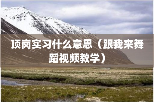顶岗实习什么意思（跟我来舞蹈视频教学）