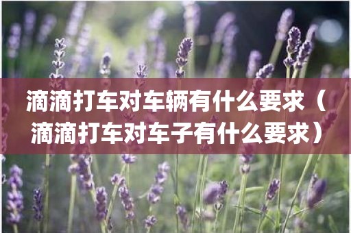 滴滴打车对车辆有什么要求(滴滴打车对车子有什么要求)