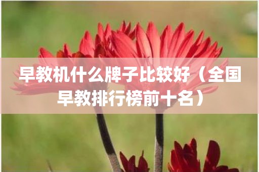 早教机什么牌子比较好(全国早教排行榜前十名)