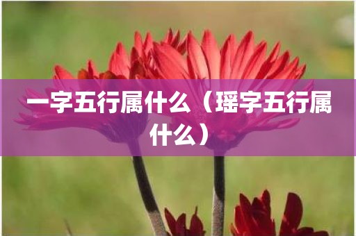 一字五行属什么(瑶字五行属什么)