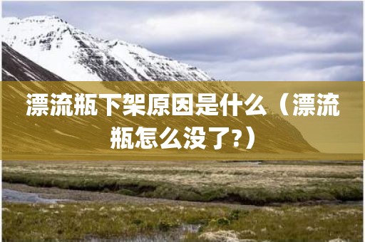 漂流瓶下架原因是什么（漂流瓶怎么没了?）