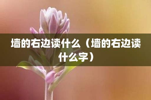 墙的右边读什么（墙的右边读什么字）