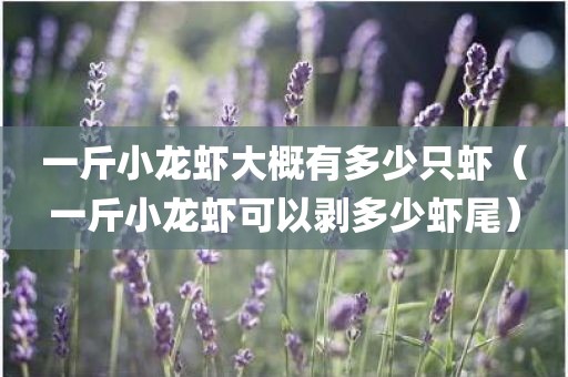 一斤小龙虾大概有多少只虾（一斤小龙虾可以剥多少虾尾）
