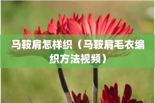 马鞍肩怎样织（马鞍肩毛衣编织方法视频）