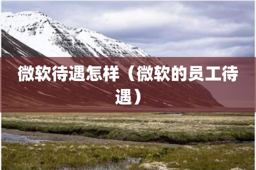 微软待遇怎样（微软的员工待遇）