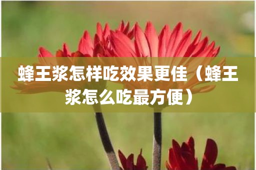 蜂王浆怎样吃效果更佳（蜂王浆怎么吃最方便）
