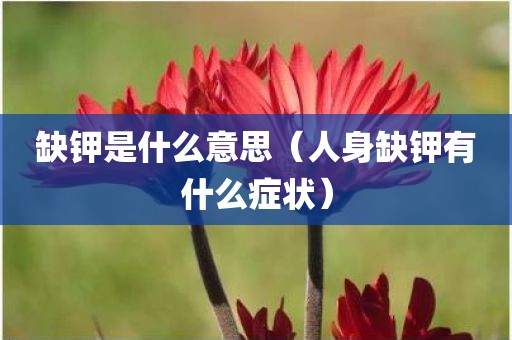 缺钾是什么意思（人身缺钾有什么症状）