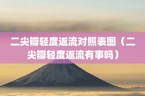 二尖瓣轻度返流对照表图（二尖瓣轻度返流有事吗）