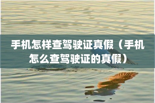 手机怎样查驾驶证真假（手机怎么查驾驶证的真假）