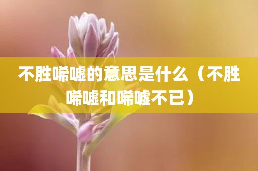 不胜唏嘘的意思是什么（不胜唏嘘和唏嘘不已）