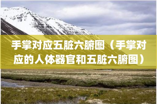 手掌对应五脏六腑图（手掌对应的人体器官和五脏六腑图）