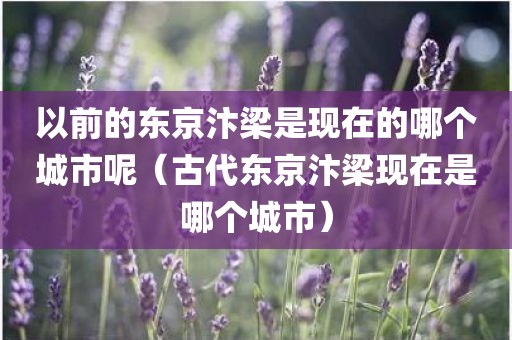 以前的东京汴梁是现在的哪个城市呢（古代东京汴梁现在是哪个城市）