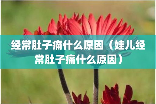 经常肚子痛什么原因（娃儿经常肚子痛什么原因）