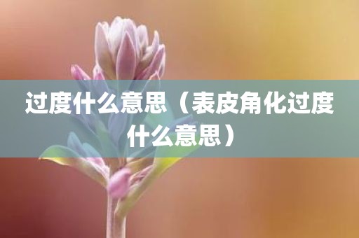 过度什么意思（表皮角化过度什么意思）